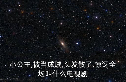 小公主,被當(dāng)成賊,頭發(fā)散了,驚訝全場叫什么電視劇