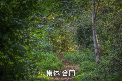 集體 合同