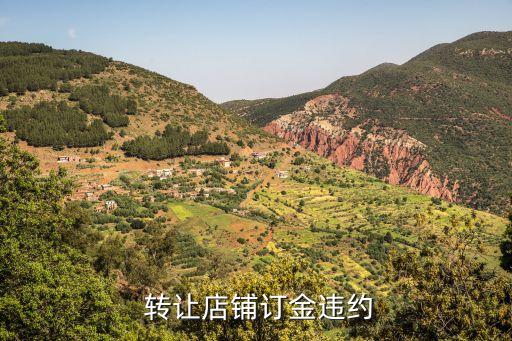 門面轉(zhuǎn)讓合同糾紛