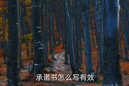  承諾書怎么寫有效