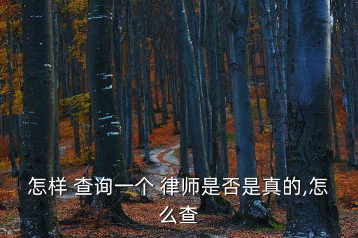 查律師個(gè)人信息查詢