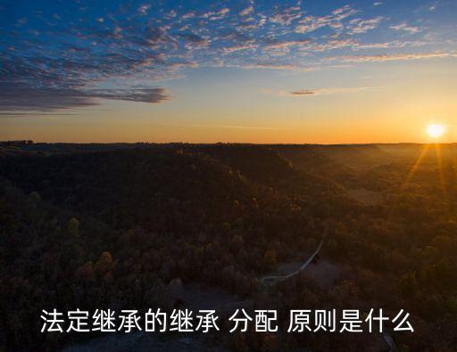 法定繼承的繼承 分配 原則是什么