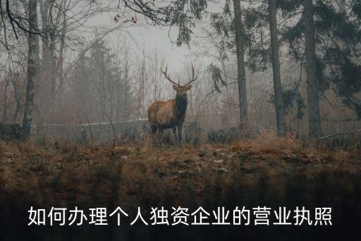 北京辦照