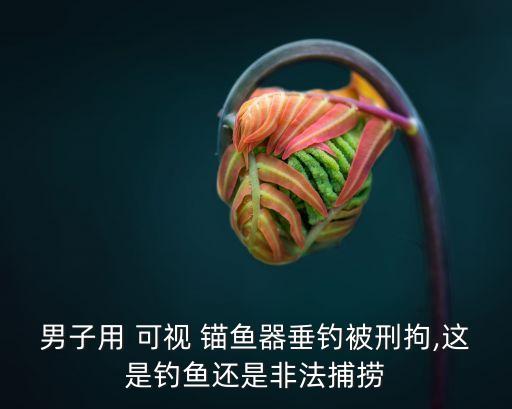 男子用 可視 錨魚器垂釣被刑拘,這是釣魚還是非法捕撈