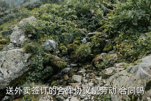 美團(tuán)騎手合同協(xié)議書,外賣騎手勞動(dòng)仲裁案例