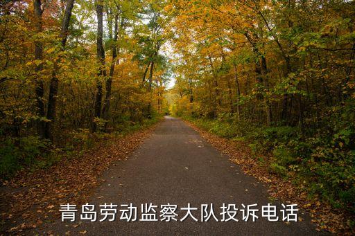  青島勞動監(jiān)察大隊(duì)投訴電話