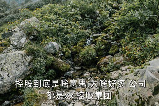  控股到底是啥意思,為啥好多 公司都是xx 控股集團(tuán)