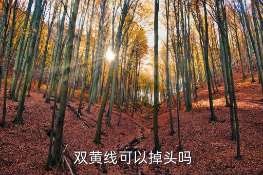 雙黃實線