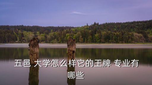  五邑 大學(xué)怎么樣它的王牌 專業(yè)有哪些