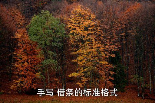 手寫 借條的標(biāo)準(zhǔn)格式