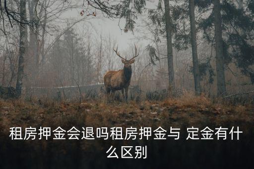 定金上限的法律規(guī)定,合同定金20%法律規(guī)定