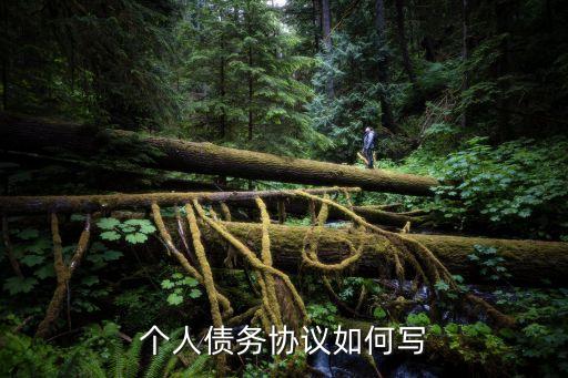 個人欠款合同怎么寫模板,有效的欠款合同模板