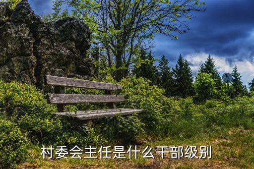 村委會主任是什么干部級別