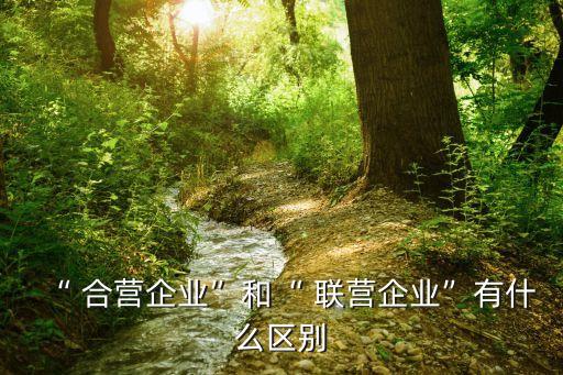 “ 合營企業(yè)”和“ 聯(lián)營企業(yè)”有什么區(qū)別