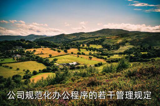 公司規(guī)范化辦公程序的若干管理規(guī)定