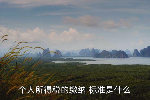 交稅標(biāo)準(zhǔn),2023年交稅標(biāo)準(zhǔn)