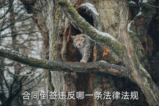  合同倒簽違反哪一條法律法規(guī)