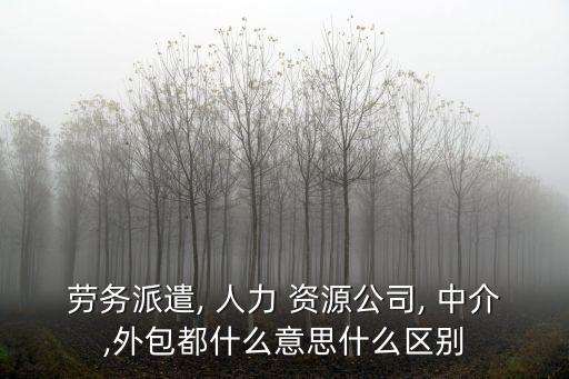 人力資源是中介嗎,外包人力資源公司