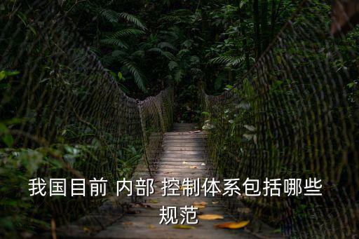 內(nèi)部控制基本規(guī)范,我國(guó)新頒布的企業(yè)內(nèi)部控制基本規(guī)范