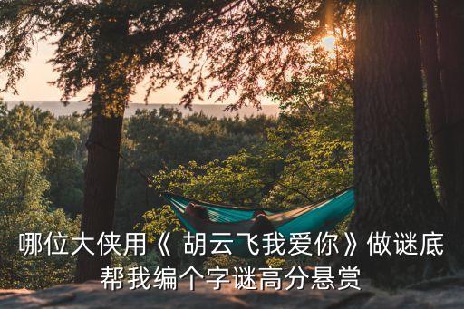 哪位大俠用《 胡云飛我愛你》做謎底幫我編個(gè)字謎高分懸賞