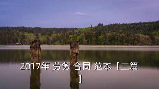 2017年 勞務(wù) 合同 范本【三篇】