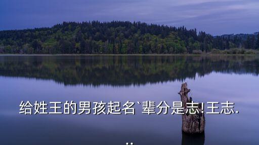 給姓王的男孩起名`輩分是志!王志...