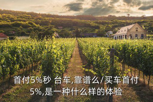 首付5%秒 臺車,靠譜么/買車首付5%,是一種什么樣的體驗