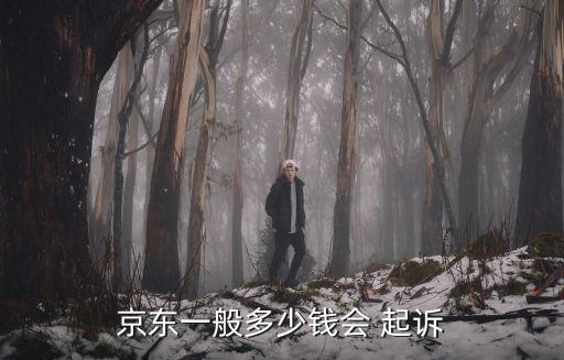 欠多少錢才能起訴立案白條,超過多少錢才能起訴