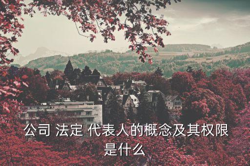 公司法定代表人
