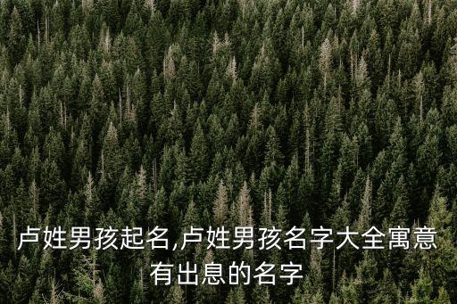 盧小平