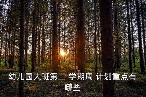 幼兒園大班第二 學期周 計劃重點有哪些