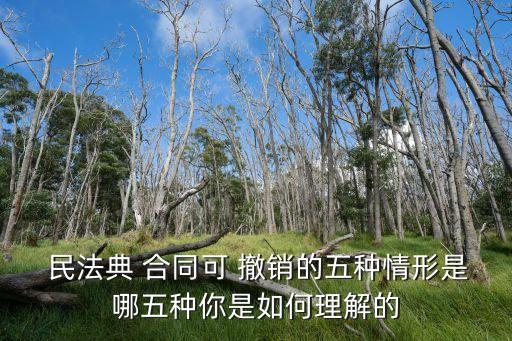  民法典 合同可 撤銷的五種情形是哪五種你是如何理解的