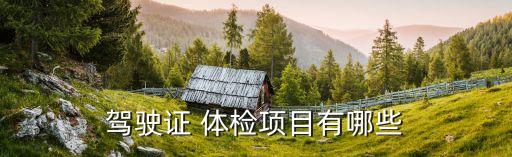 駕駛證 體檢項目有哪些