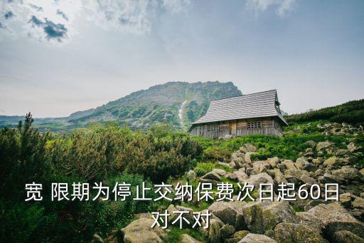 寬 限期為停止交納保費次日起60日對不對