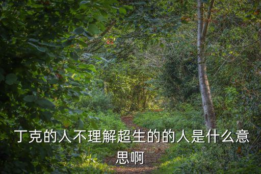  丁克的人不理解超生的的人是什么意思啊
