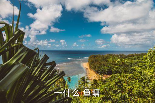一方魚塘,一方石橋還是一方魚塘