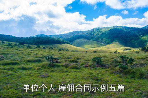 雙方私下協(xié)議怎么寫雇傭,個(gè)體老板雇傭協(xié)議怎么寫