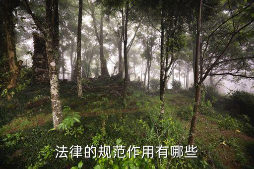 指引作用,紅色精神對(duì)于青年的指引作用