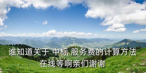 誰(shuí)知道關(guān)于 中標(biāo) 服務(wù)費(fèi)的計(jì)算方法在線等啊親們謝謝