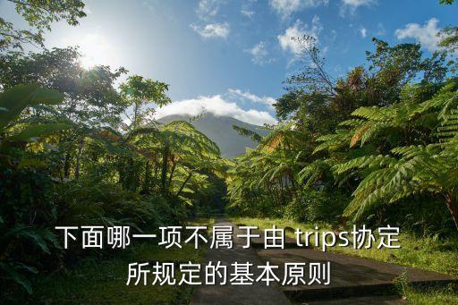 下面哪一項(xiàng)不屬于由 trips協(xié)定所規(guī)定的基本原則