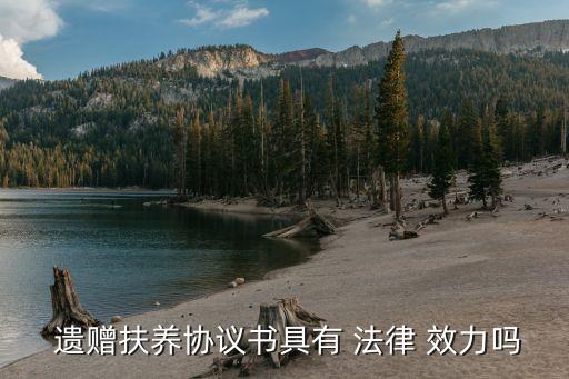遺贈的法律效力是什么,遺贈具備一定條件才能發(fā)生法律效力,即( )