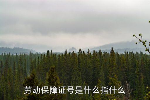 勞動(dòng)保障證號(hào)是什么指什么