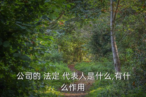  公司的 法定 代表人是什么,有什么作用