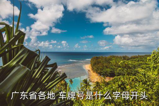 廣東省各地 車牌號是什么字母開頭