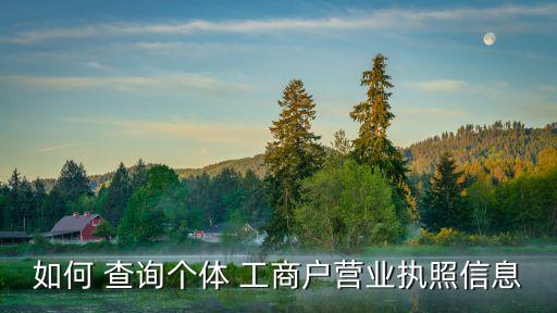 個(gè)人工商注冊(cè)查詢,個(gè)體工商戶營(yíng)業(yè)執(zhí)照年檢網(wǎng)上申報(bào)