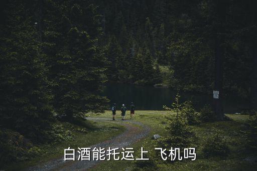  白酒能托運上 飛機嗎