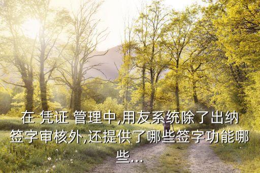 在 憑證 管理中,用友系統(tǒng)除了出納簽字審核外,還提供了哪些簽字功能哪些...
