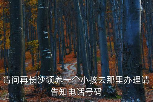 請問再長沙領(lǐng)養(yǎng)一個小孩去那里辦理請告知電話號碼