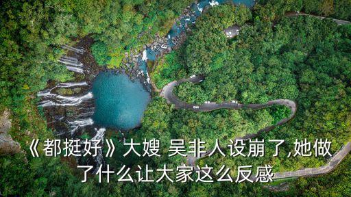 《都挺好》大嫂 吳非人設(shè)崩了,她做了什么讓大家這么反感