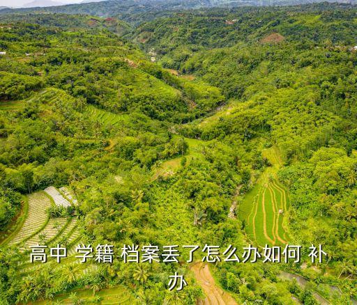 高中 學籍 檔案丟了怎么辦如何 補辦